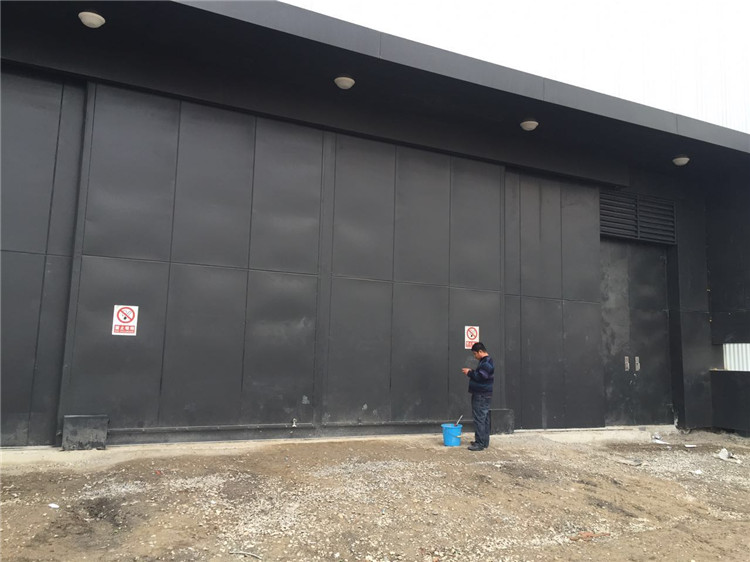 影視**電動(dòng)隔音門(mén)