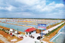 祁縣伊利新建日產(chǎn)891噸液態(tài)奶項(xiàng)目