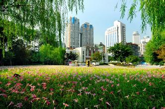 萬州綠色制藥有限公司防爆門項目